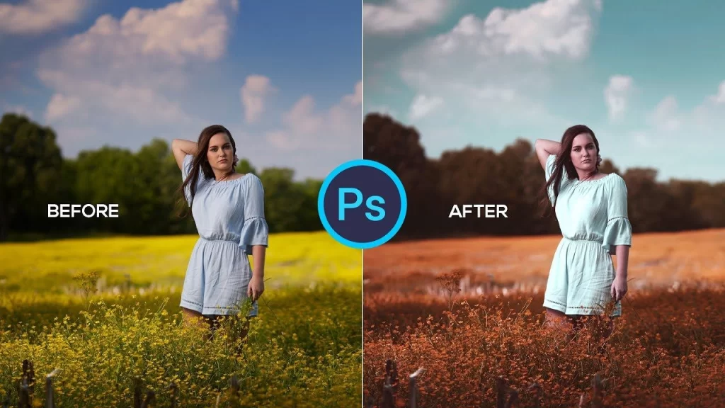 Cut Out Top- Clipping Path Service| Color Correction Service